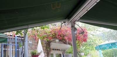 Foto 46214904