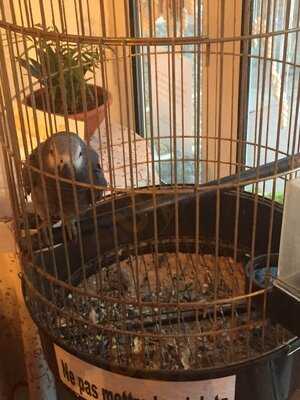 Crêperie Chez Thérésa Le Vieux Passage Plouhinec