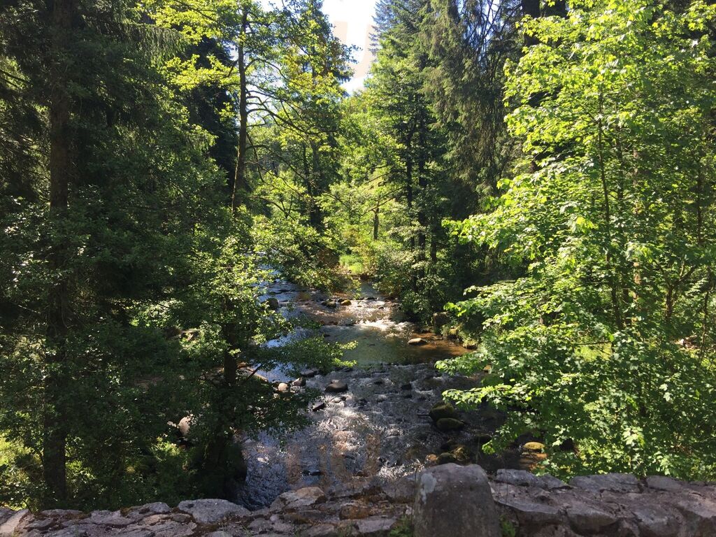 Auberge Du Saut Des Cuves