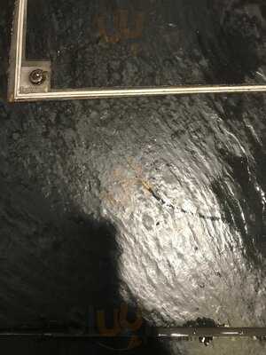 Foto 54303711
