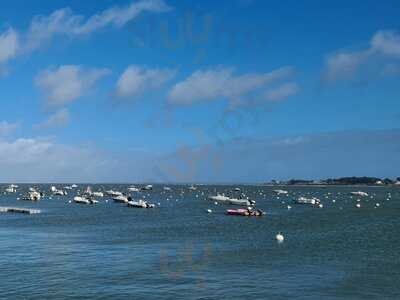 Foto 54132425