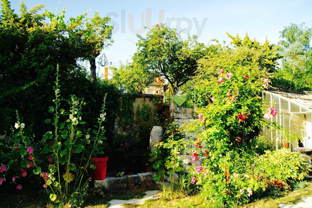 Jardin Des Lys