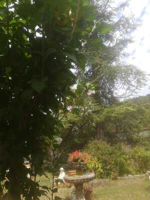 Foto 53733741