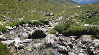 Foto 65939109