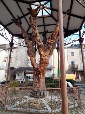 Les Délices Du Caylar