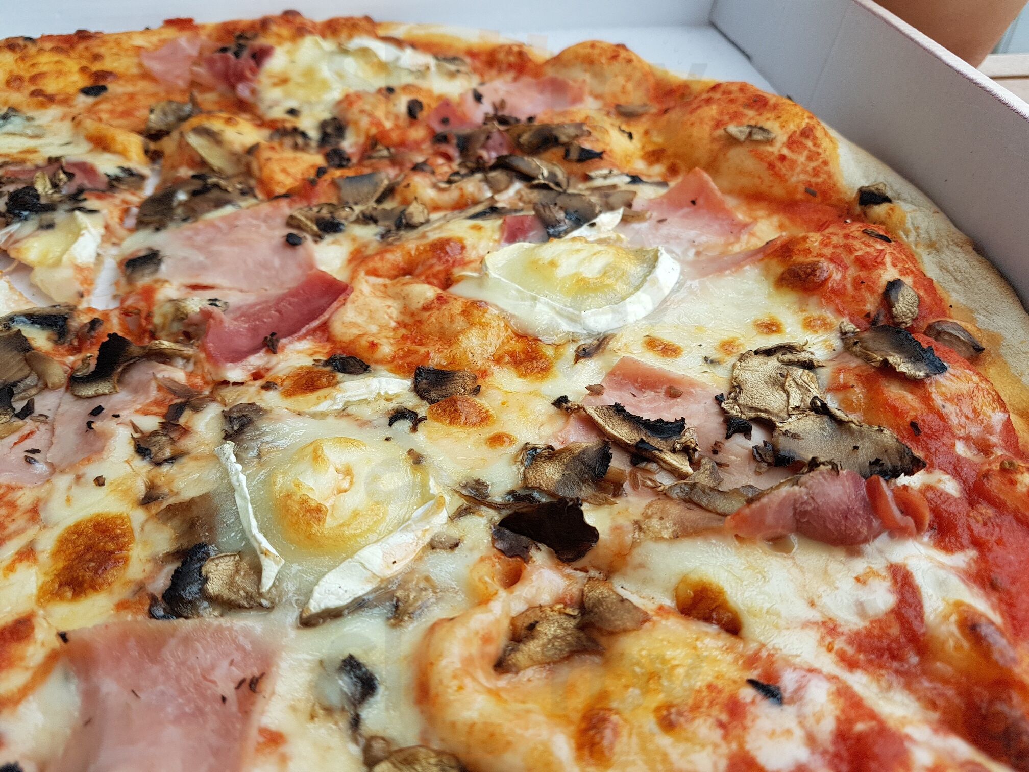Pizza Bella Italia  