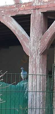 Foto 65963408