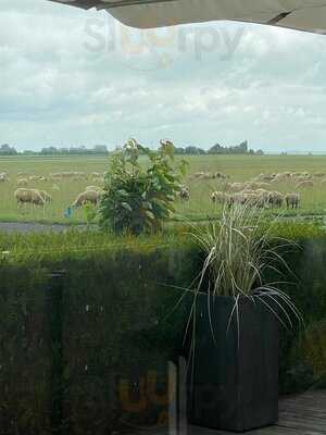 Foto 53758950