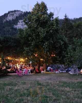 Foto 47037418
