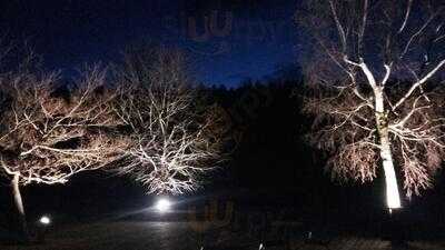 Foto 47039408