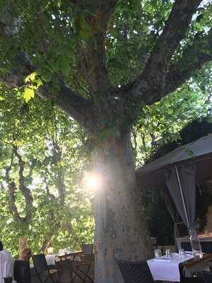 Foto 47049013