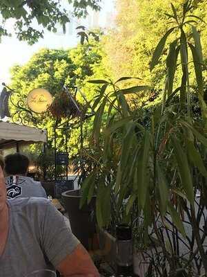 Foto 47049016