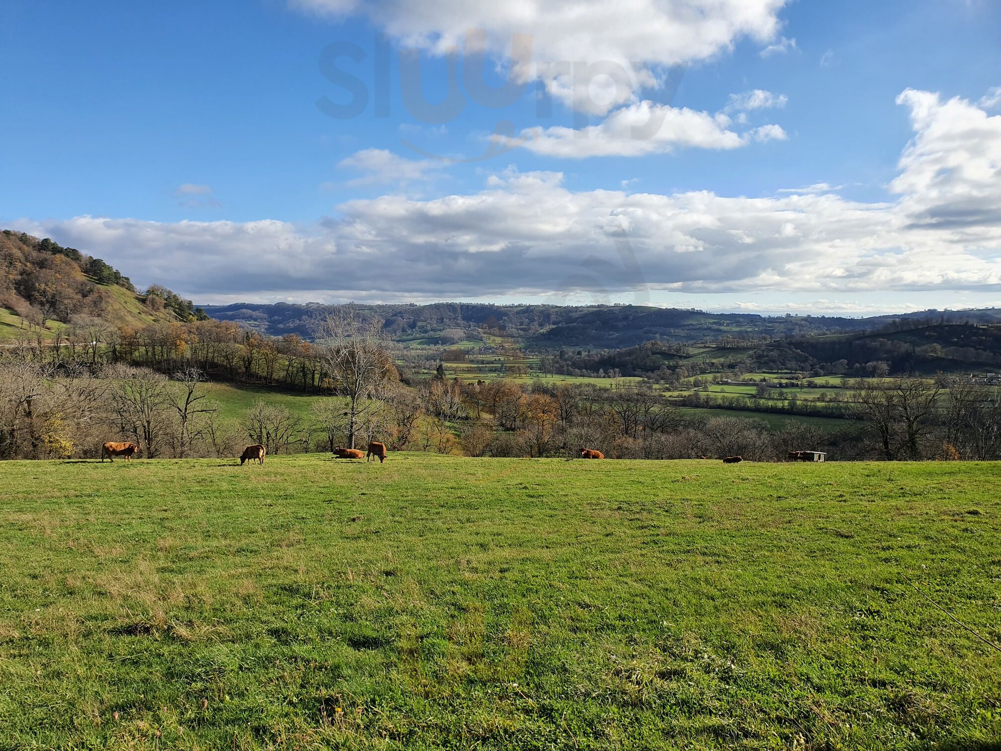 Les Crozes
