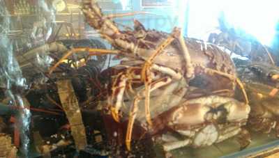 Jardin Du Fruit De Mer