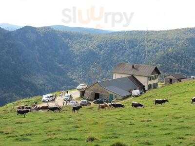 Foto 47414470