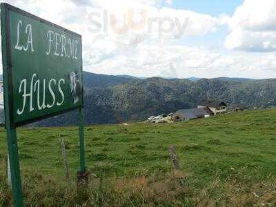 Foto 47414472