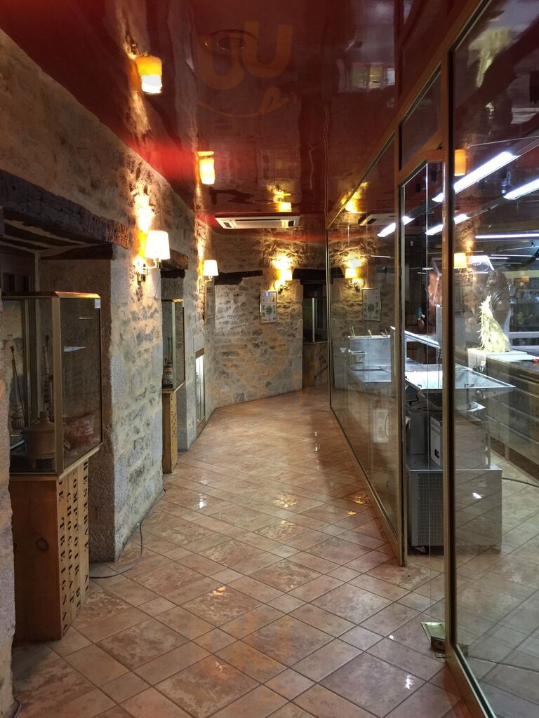 Salon De The Borzeix-besse