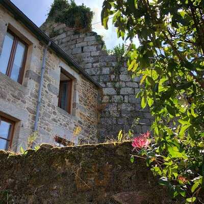 Foto 47469855