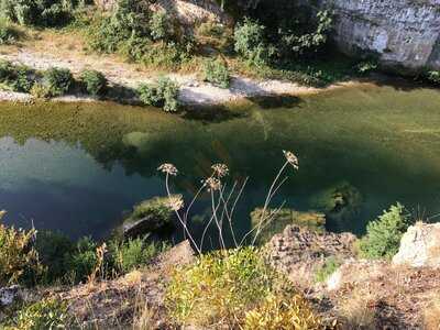 Foto 47548408