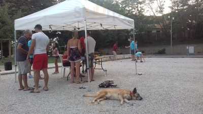 Foto 66000523