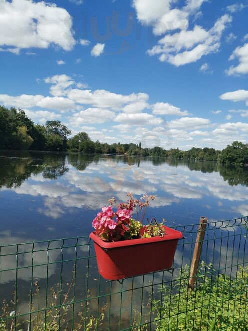 L'etang Fleuri