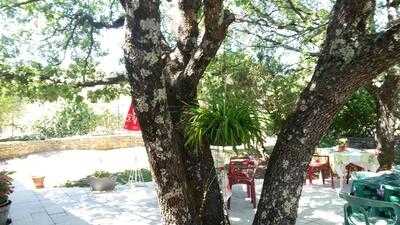 Foto 47694410