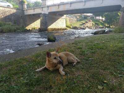 Foto 47698781