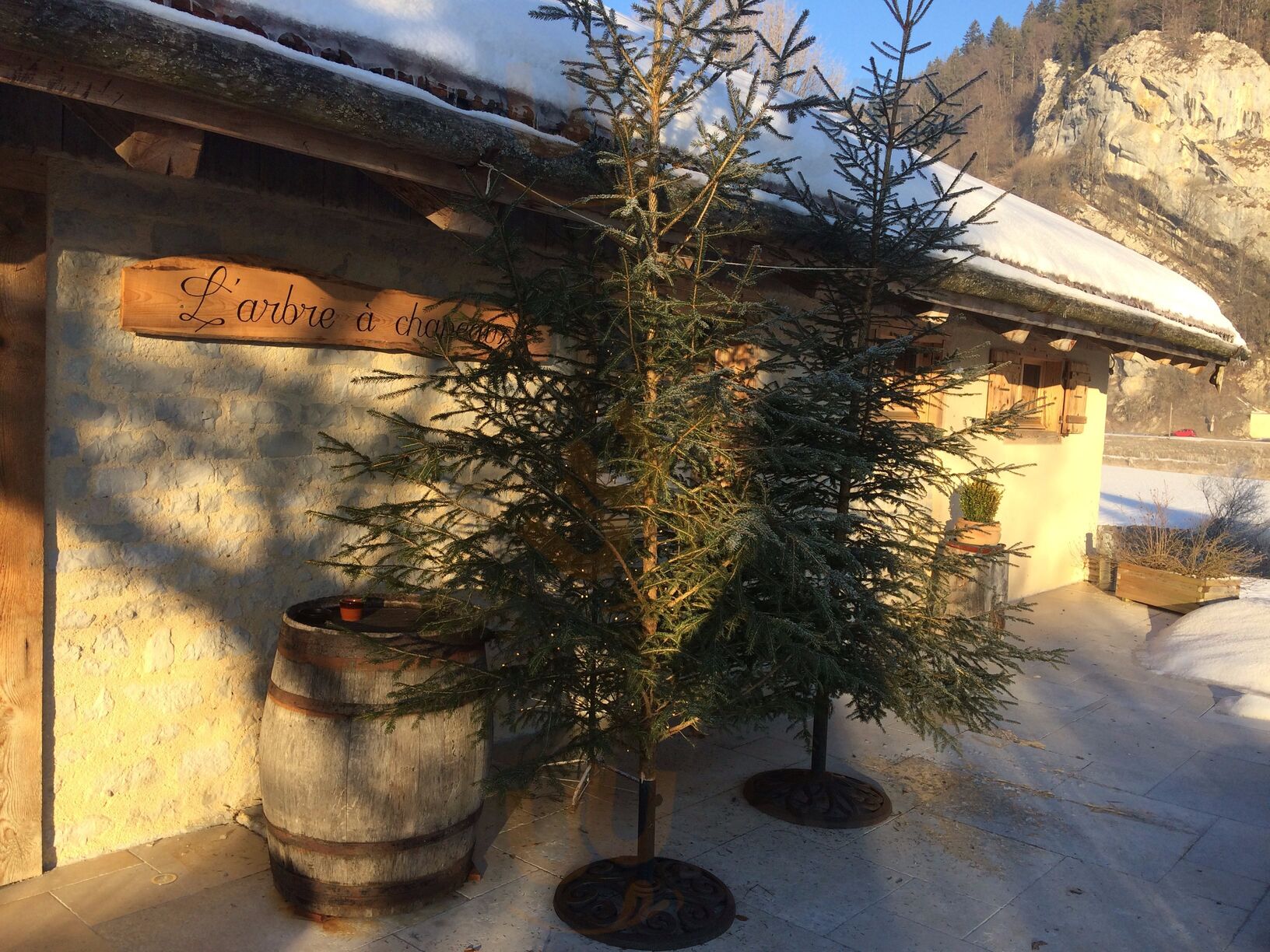 L'arbre à Chapeaux