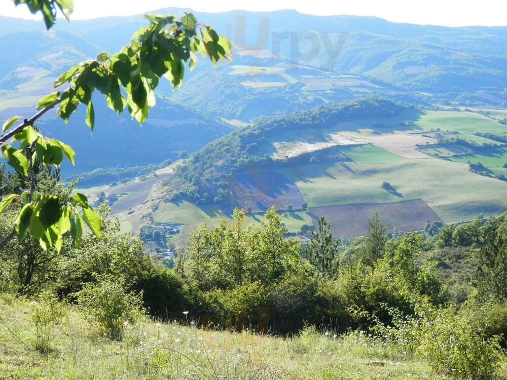 La Bannette
