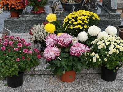 Foto 47899925