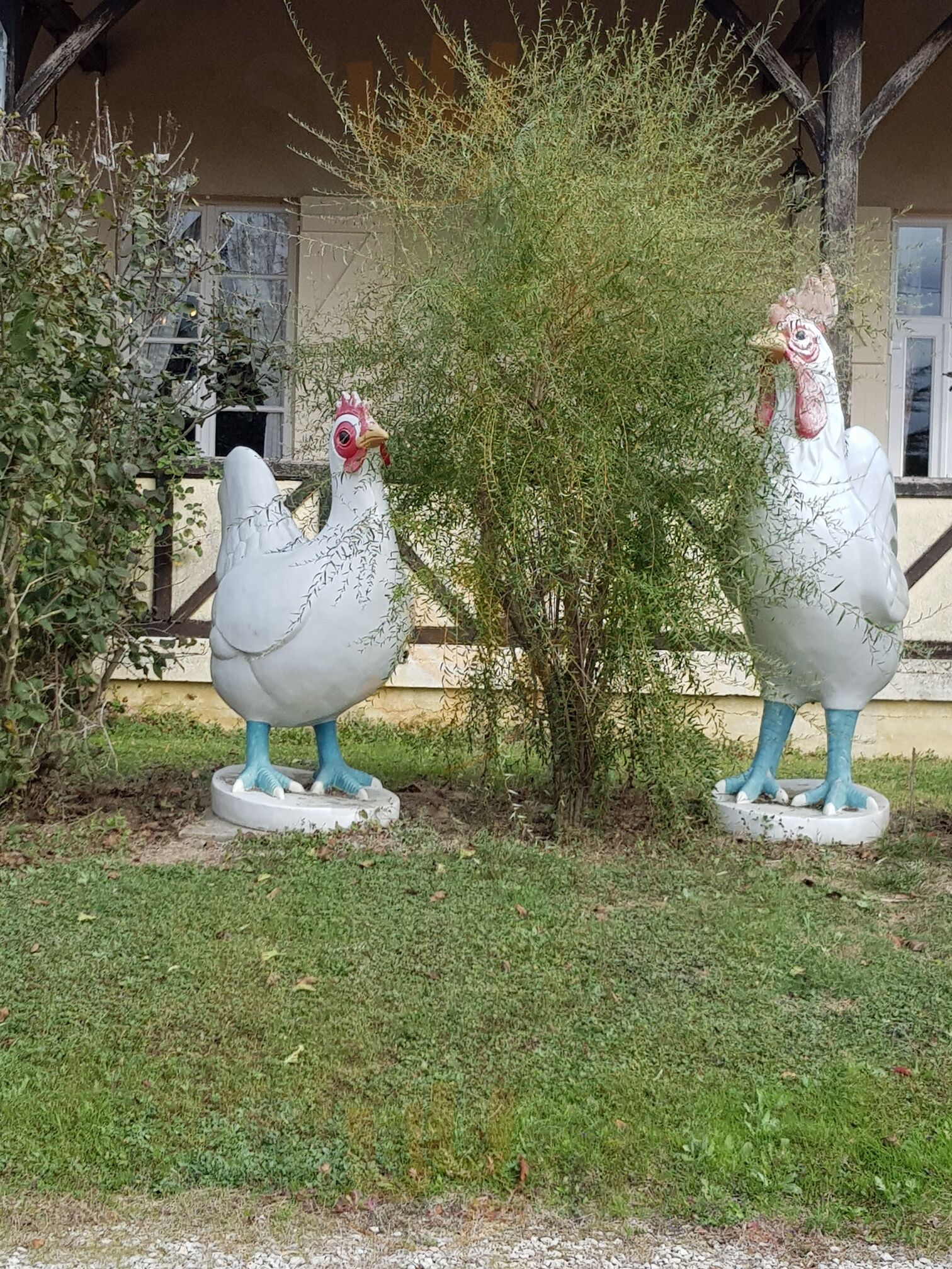 La Maison Du Poulet De Bresse