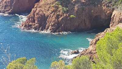Foto 47945382