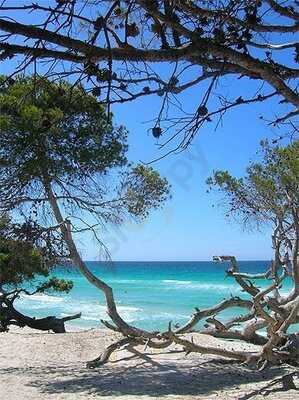 Le Relais De La Fontaine Casta