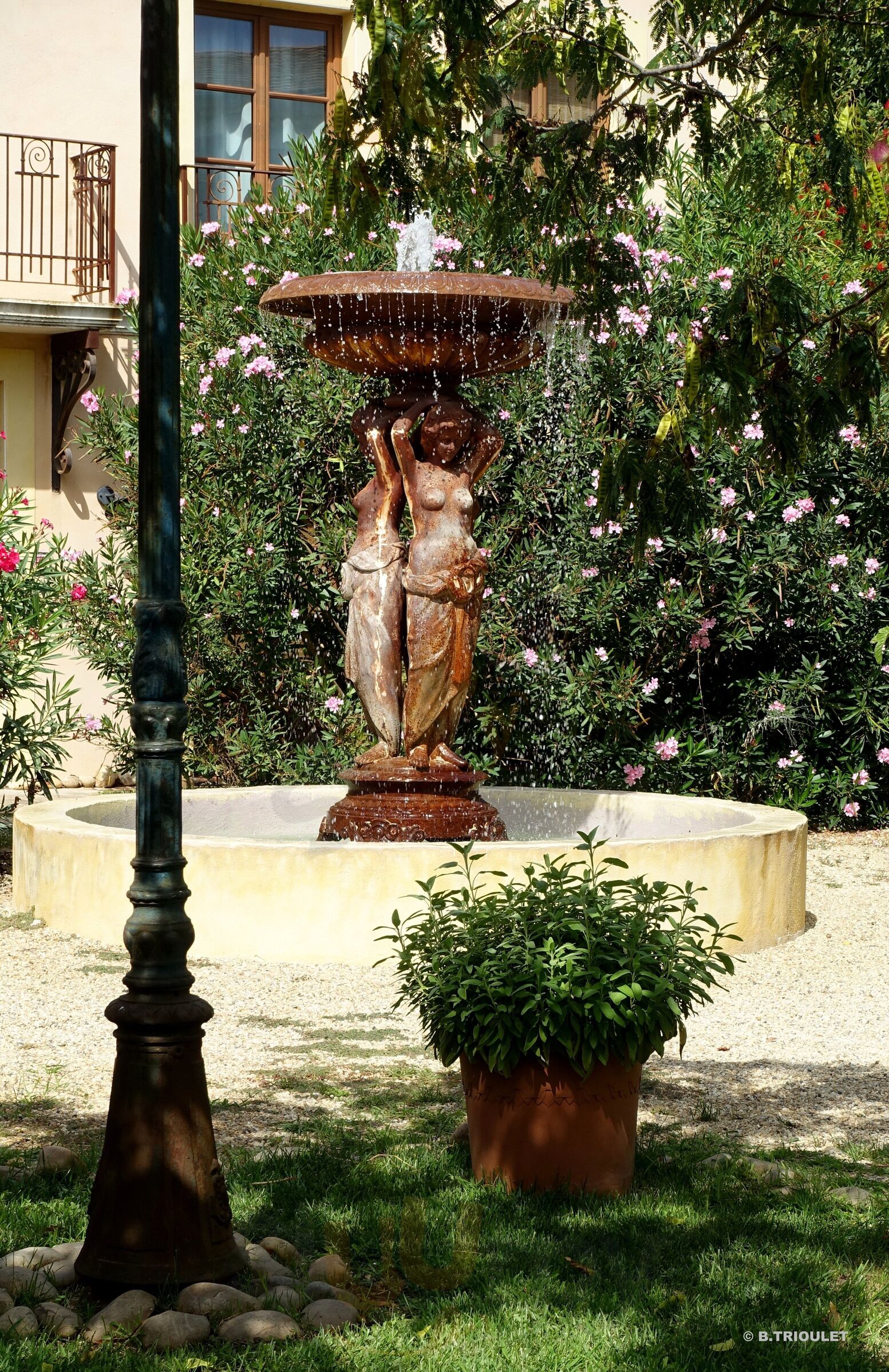 Vinauberge