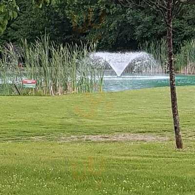 Foto 48106671