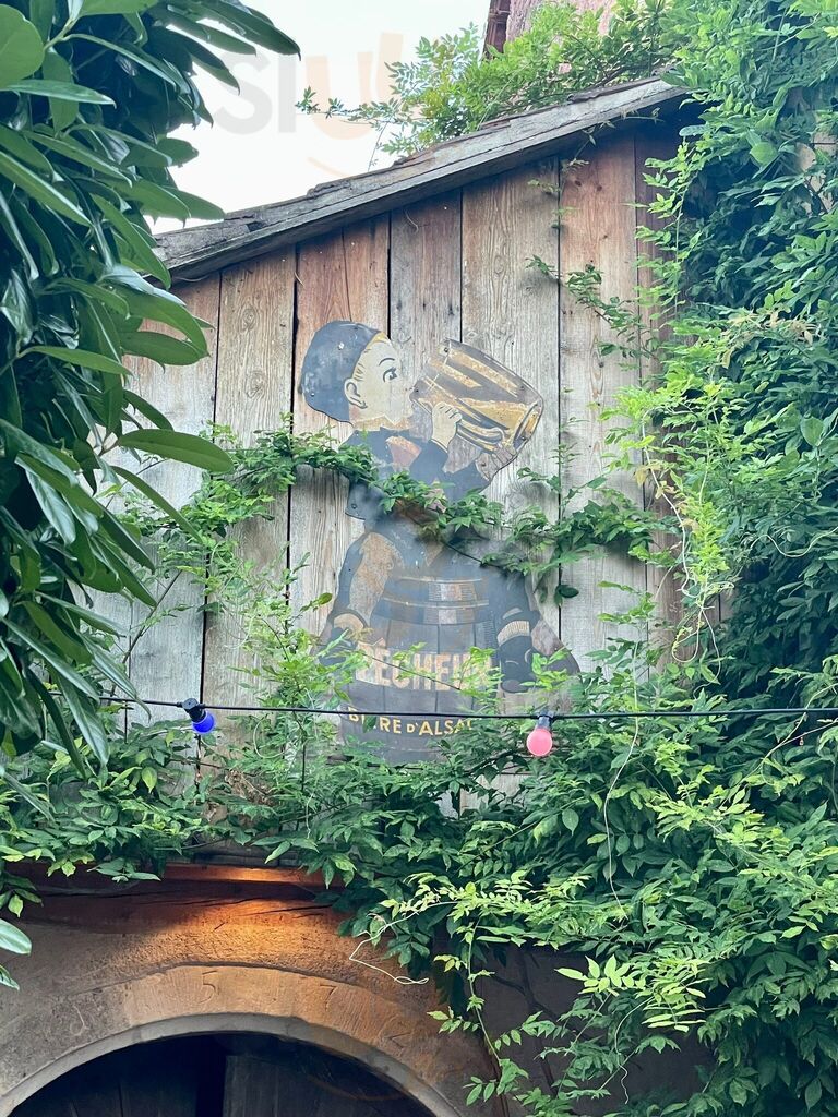 Caveau Gambrinus  