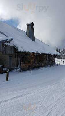 Foto 48177495