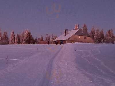 Foto 54128406