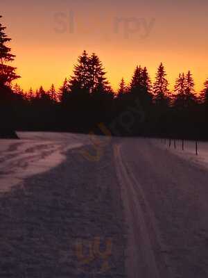 Foto 54128415