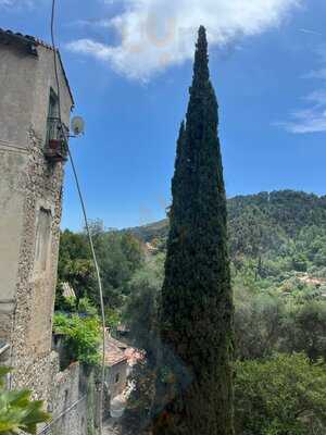 Foto 65665284
