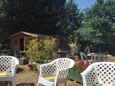 Foto 48220836