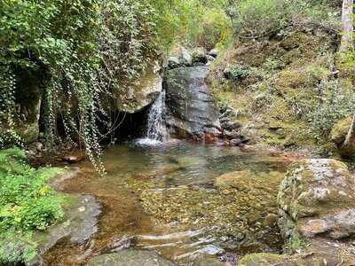 Foto 53946363