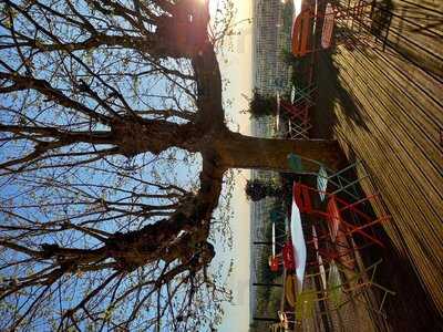 Foto 53964234
