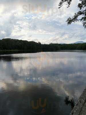 Foto 53500873