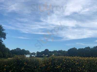 Foto 54305950