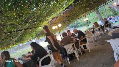 Foto 65690012