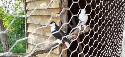 Ferme Animaliere De Bellevue