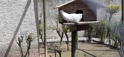 Ferme Animaliere De Bellevue