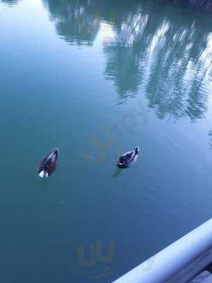 Foto 27025914