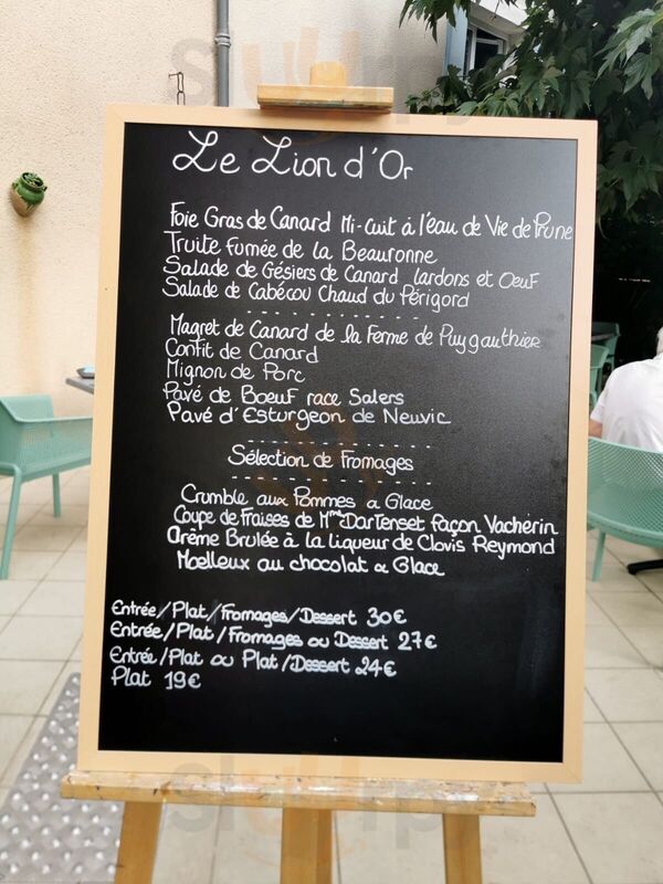 Logis Lion D'or